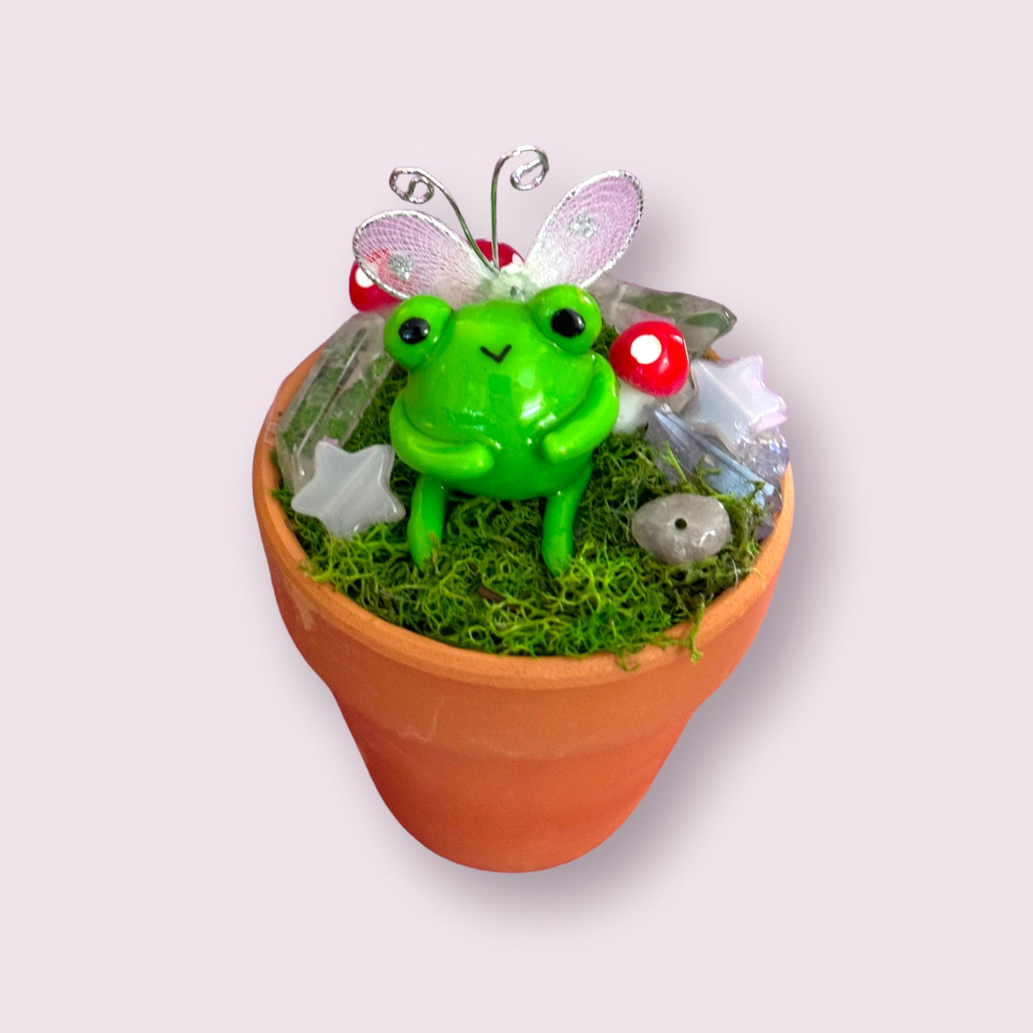 Fairy Frog  pot✨🩵✨