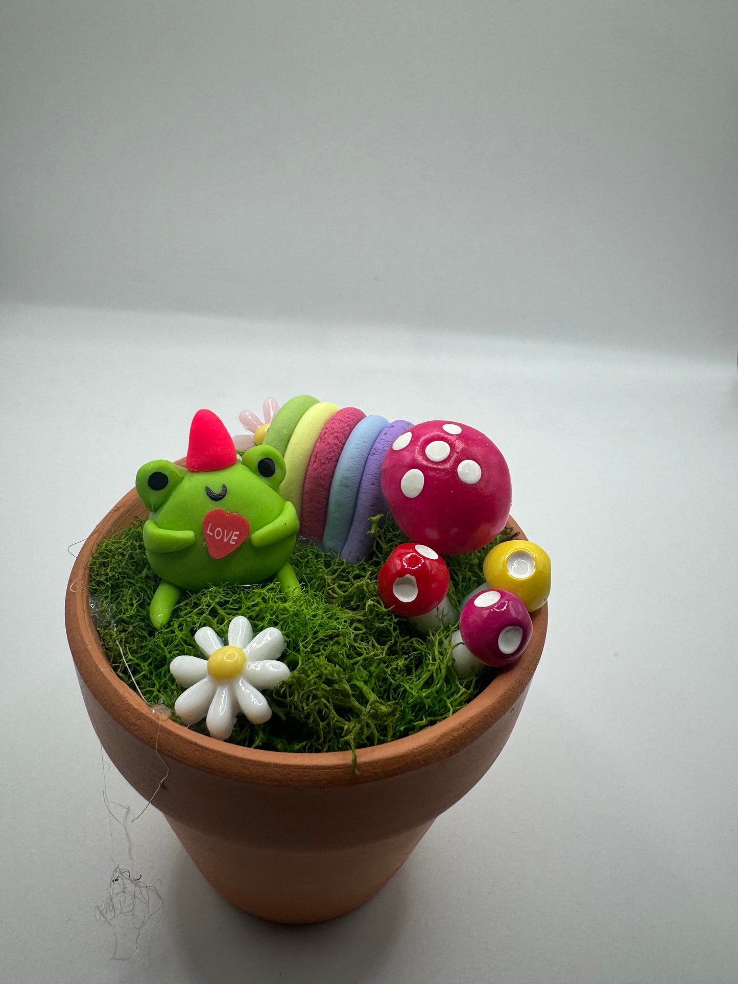 Froggy rainbows pot