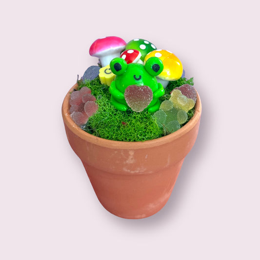 Gummyland Frog pot